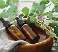 Eucalyptus Oil